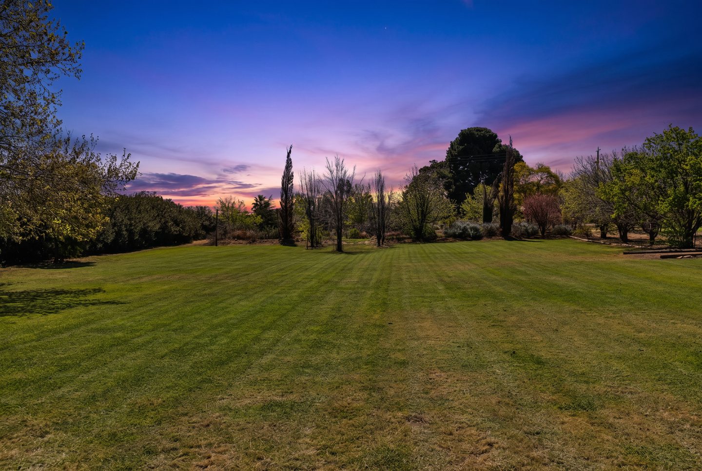Open lawn and established trees at dusk